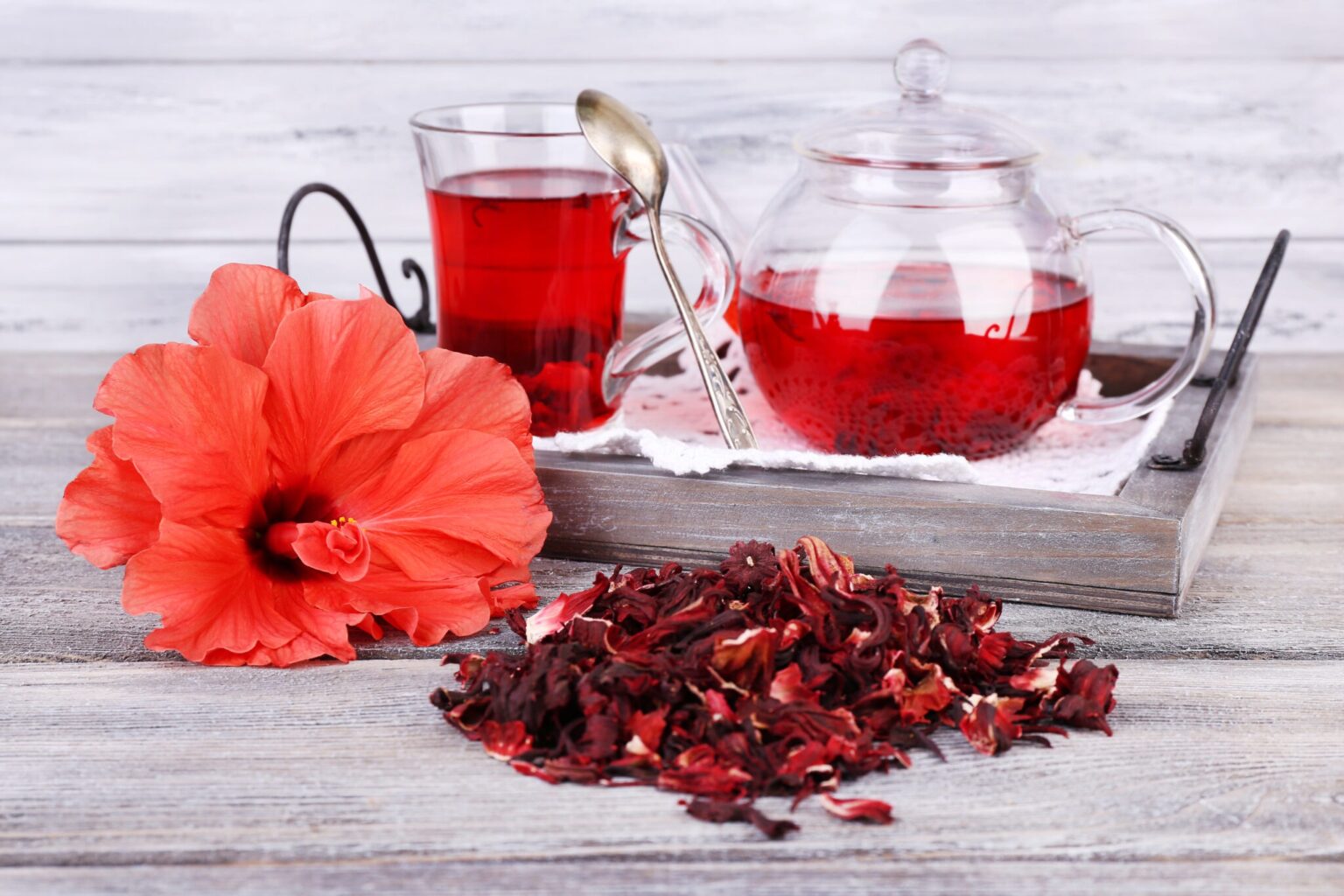 Đài quả Hibiscus Hibiscus Wine